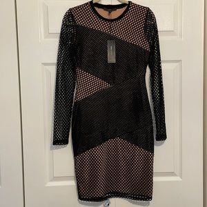 BCBG Jorden Mesh Paneled Dress